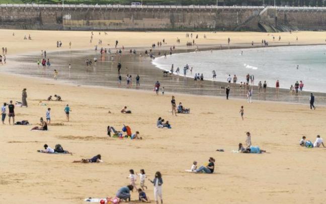 Colocan banderas amarillas por precaución, tras los picores de los bañistas en las playas de Donostia Colocan banderas amarillas por precaución, tras los picores de los bañistas en las playas de Donostia