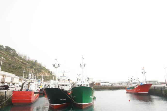 Embarcaciones de bajura amarradas en el puerto de Getaria