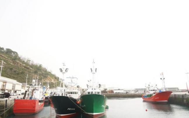 Embarcaciones de bajura amarradas en el puerto de Getaria