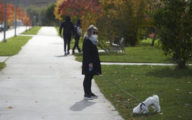 Una mujer pasea a su perro en Iruñea