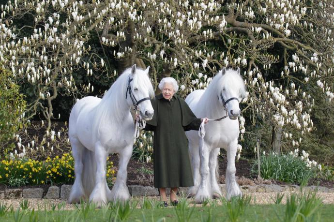 La reina Isabel II con sus ponis Bybeck Nightingale (d) y Bybeck Katie (i).