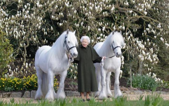 La reina Isabel II con sus ponis Bybeck Nightingale (d) y Bybeck Katie (i). La reina Isabel II con sus ponis Bybeck Nightingale (d) y Bybeck Katie (i).