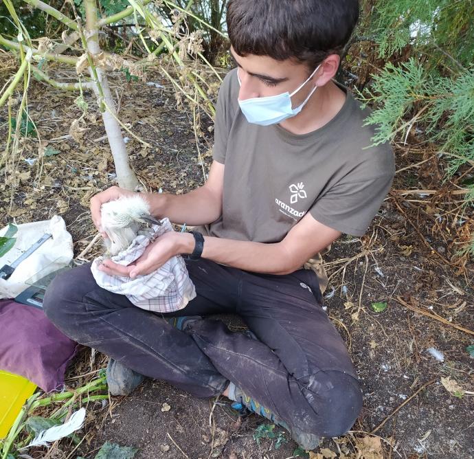 Un voluntario en la isla de Izaro.