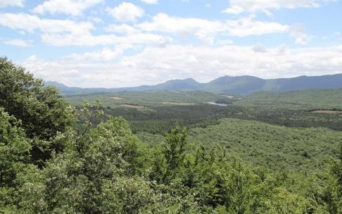 Vista del Parque Natural de Izki.