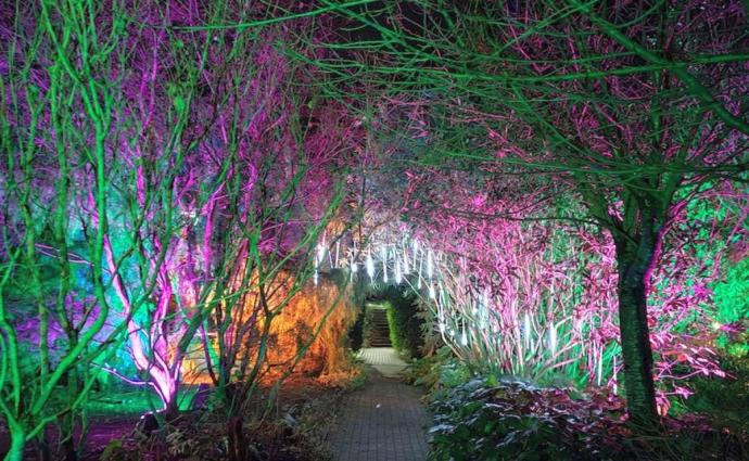 Los juegos de luces tomarán el Jardín Botánico.