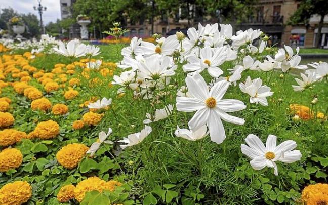 Detalle del jardín de la plaza Santa Catalina.