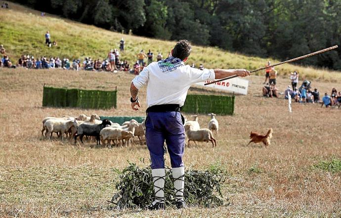 El subcampeón Aritz Ganboa guiando a su perro Txistu. Foto: Javier Bergasa