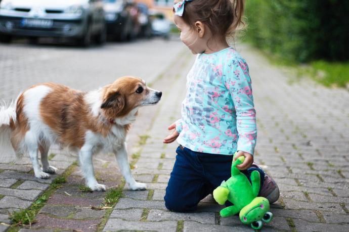 La interacción entre humanos y perros se basa en cubrir mutuamente las necesidades de cada cual.