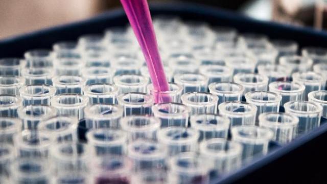 Primer caso en Europa de la variante 'Nu' del coronavirus.