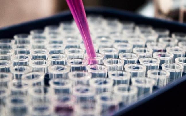 Primer caso en Europa de la variante 'Nu' del coronavirus. Primer caso en Europa de la variante 'Nu' del coronavirus.