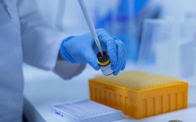 Oncomatryx podrá comenzar los ensayos clínicos en personas con tumores metastásicos. Oncomatryx podrá comenzar los ensayos clínicos en personas con tumores metastásicos.