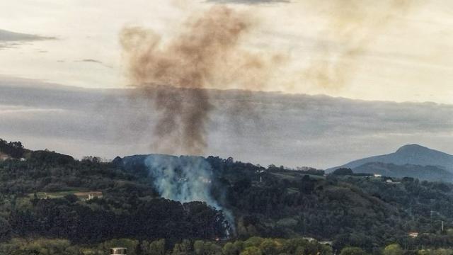 Imagen obtenida en redes. Desconocemos autor. 
