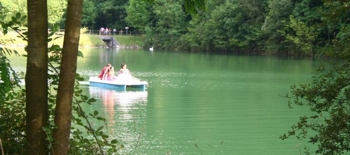 La necesidad de legalizar la balsa de agua del parque impide un contrato de guarda y mantenimiento de larga duración.