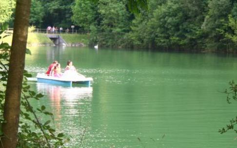 La necesidad de legalizar la balsa de agua del parque impide un contrato de guarda y mantenimiento de larga duración.
