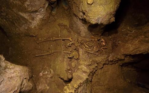 Restos hallados en la cueva Errotalde.