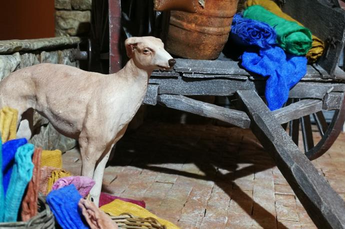 La galga Duna, protagonista del belén que se inaugura este miércoles.