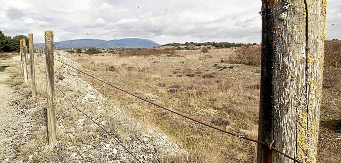 Luz verde a un proyecto común