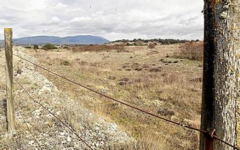 Luz verde a un proyecto común
