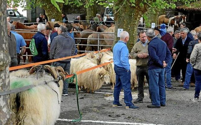 La plaza Matxiketa acogió un buen número de cabezas de ganado.
