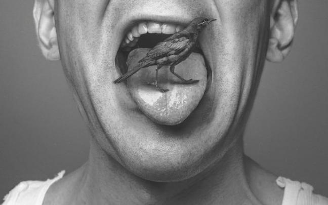 Pájaro sobre una lengua. Pájaro sobre una lengua.
