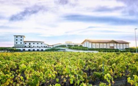 Bodegas Marco Real en Olite. Bodegas Marco Real en Olite.