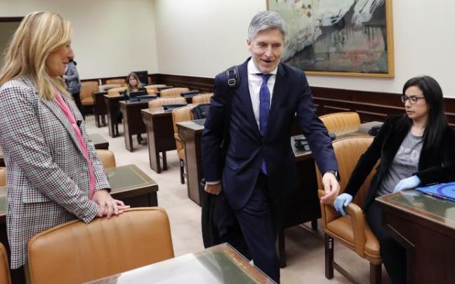 El ministro del Interior, Fernando Grande-Marlaska. El ministro del Interior, Fernando Grande-Marlaska.