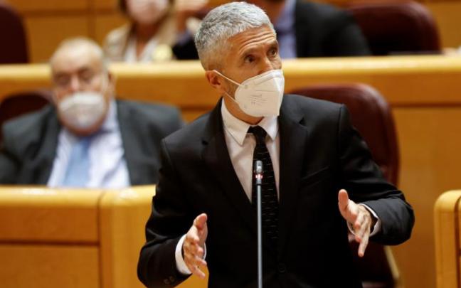 El ministro Fernando Grande Marlaska en su intervención en el Senado El ministro Fernando Grande Marlaska en su intervención en el Senado