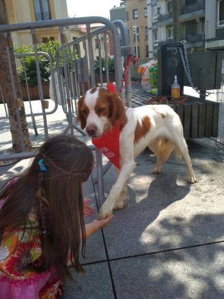 Getxo pasea a las mascotas que buscan hogar