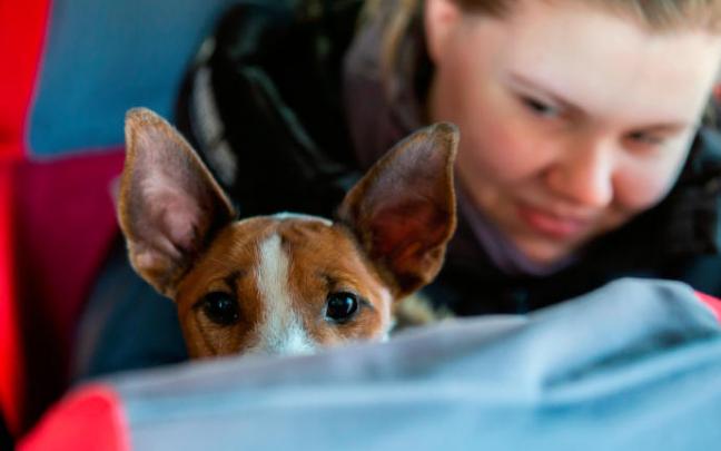 Una refugiada llega con su perro a Palanca, en Moldavia.