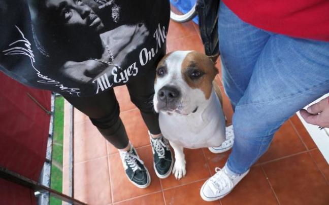 Madre e hija junto a su perro, que es considerado jurídicamente desde el pasado miércoles un ser vivo dotado de sensibilidad. Madre e hija junto a su perro, que es considerado jurídicamente desde el pasado miércoles un ser vivo dotado de sensibilidad.