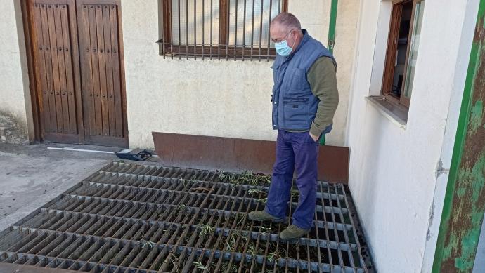 El presidente, Pedro González, observa las aceitunas entregadas.