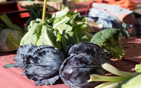 Regresa el Mercado de Navidad.