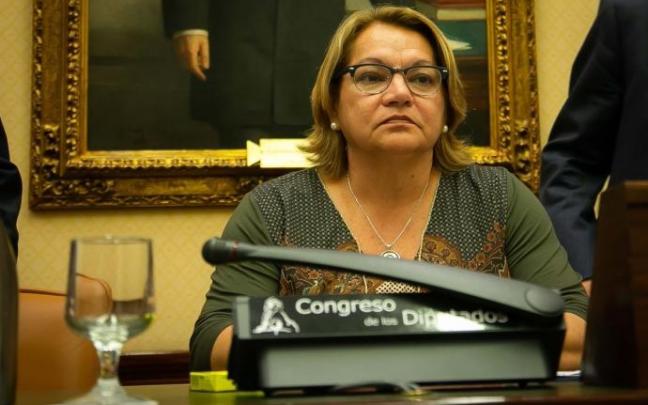 La diputada de Unidas Podemos Meri Pita.