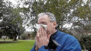 Cada vez es mayor la prevalencia de las personas con alergia, pero la más habitual es la alergia al polen.