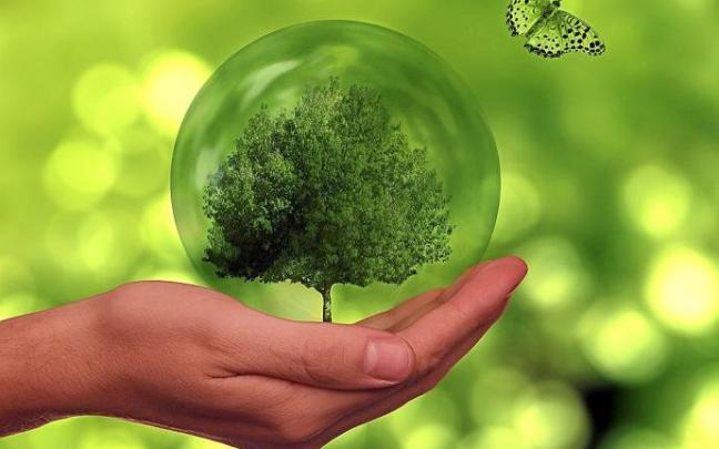Recreación de una imagen sobre la importancia de cuidar el medio ambiente. Foto: DNA Recreación de una imagen sobre la importancia de cuidar el medio ambiente. Foto: DNA