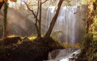 El Monasterio de Piedra es un parque natura creado por el rió del mismo nombre y enriquecido por un abadía cisterciense.