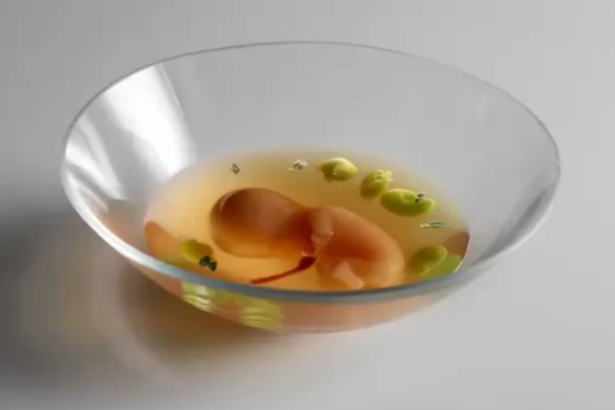 La creación gastronómica del chef Aduriz que simula un embrión humano.