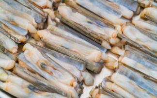 El valor nutricional y gastronómico de las navajas, los muergos y los longueirones los hace muy interesantes para la mesa familiar. El valor nutricional y gastronómico de las navajas, los muergos y los longueirones los hace muy interesantes para la mesa familiar.