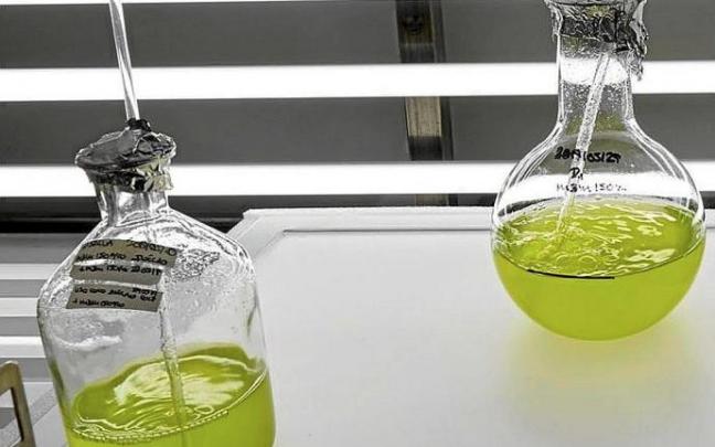 Neiker trabaja en un fertilizante respetuoso con el medioambiente