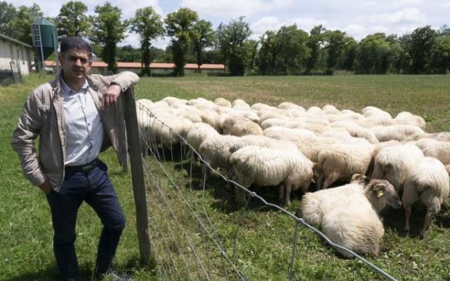 Roberto Ruiz, jefe del departamento de Producción Animal de Neiker Roberto Ruiz, jefe del departamento de Producción Animal de Neiker
