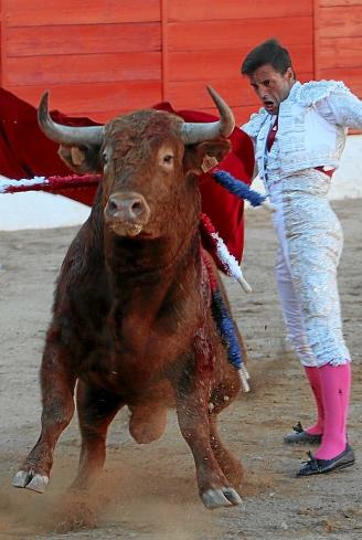 Montero pasa por alto al precioso y serio 2º, 'Veleto'.