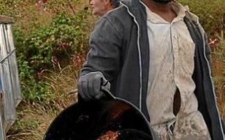 Un temporero trabaja en la vendimia en Rioja Alavesa. Foto: P.J.P.