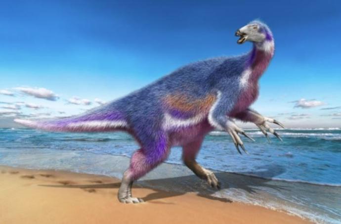 Descubren en Japón una nueva especie de dinosaurio con temibles garras -  Onda Vasca