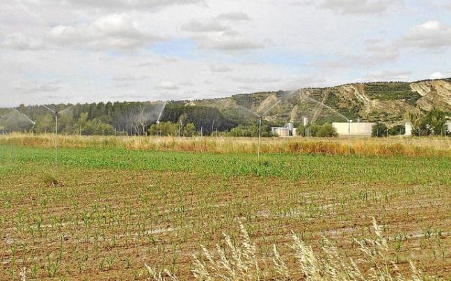 Una finca de regadío. Foto: María San Gil