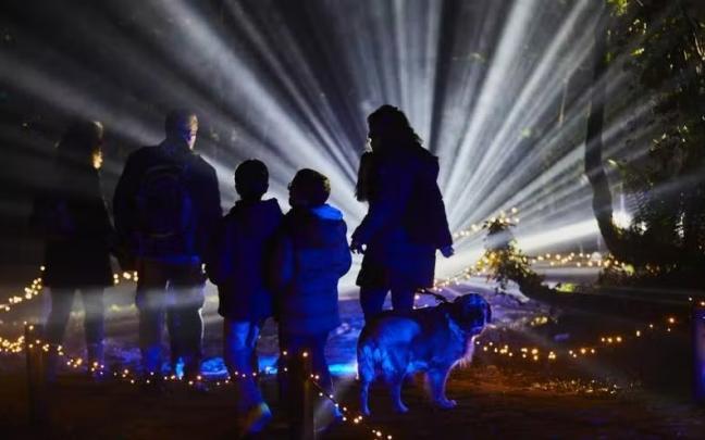 En la primera edición 22 mil personas se acercaron a veer los juegos de luces de Pinosolo. AYTO LEIOA En la primera edición 22 mil personas se acercaron a veer los juegos de luces de Pinosolo. AYTO LEIOA