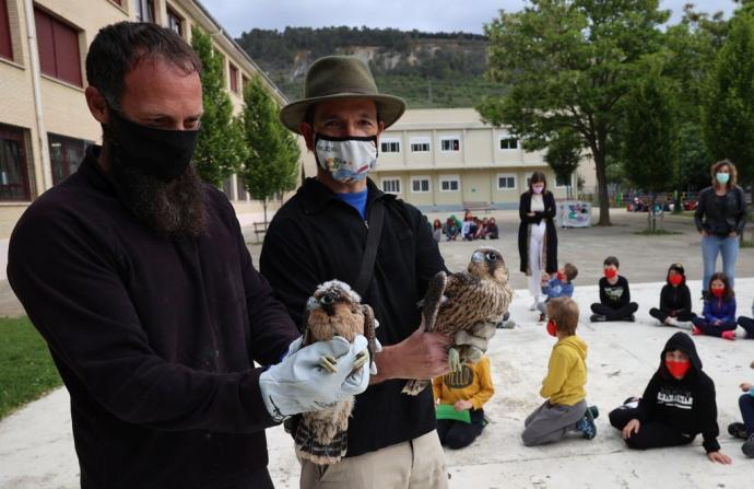 Alumnos y alumnas de Tercero de Primaria del Colegio Público Ezkaba, durante la visita de los halcones a cargo de Diego Villanua y Joseba Oroz.