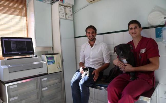 Javier y Miguel Zalacáin, junto a algunos de sus animales, Thorky (el perro) y Máximo (el gato) en la clínica que acaban de abrir en Burlada. Javier y Miguel Zalacáin, junto a algunos de sus animales, Thorky (el perro) y Máximo (el gato) en la clínica que acaban de abrir en Burlada.