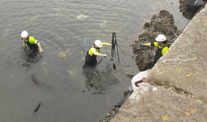 Operarios en el agua sacando restos.