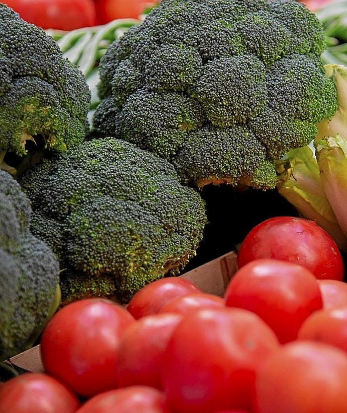 La parcela de la calle Henry Morton Stanley de Borinbizkarra albergará a medio plazo un huerto de casi 8.000 metros cuadrados.Foto: Jorge Muñoz/Iñaki Porto