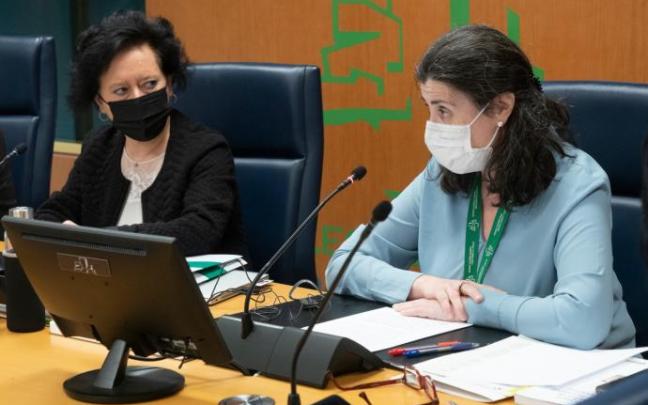 La directora general del Servicio Vasco de Salud, Rosa Pérez, comparece ante la Comisión de Salud. La directora general del Servicio Vasco de Salud, Rosa Pérez, comparece ante la Comisión de Salud.